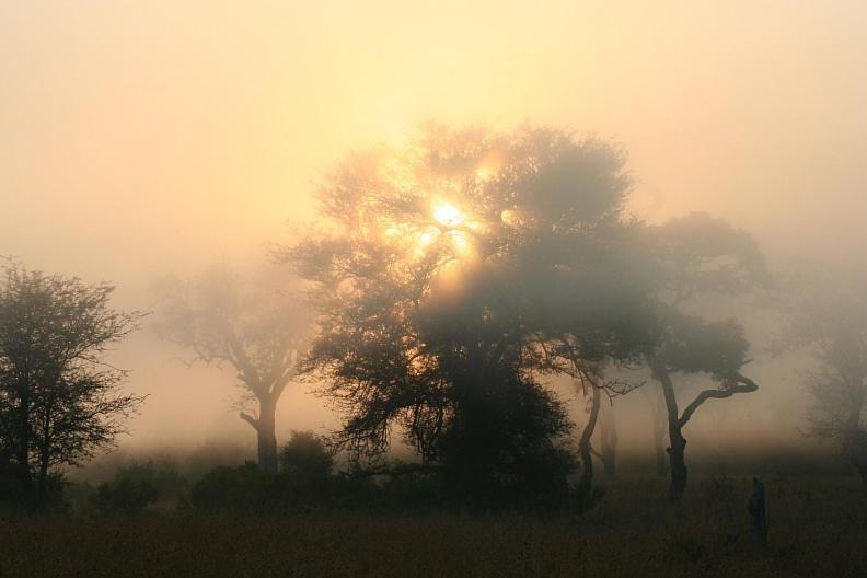 Masorini Bush Lodge Phalaborwa Eksteriør bilde